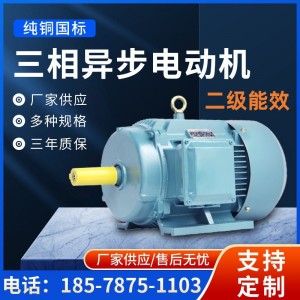 工厂直供三相异步电动机YE4-315M-4 132KW2P(132千瓦2极)交流电机