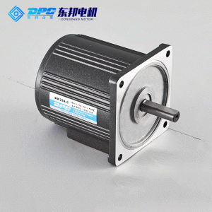 80 4系列25W-40W定速调速微型齿轴电机