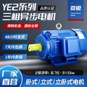 YE2三相异步电机55千瓦75kw90kw风机电机2极110千瓦132kw380V电机