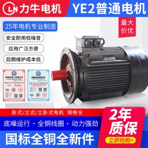 三相异步电动机厂家 2 6 8级YE2立式卧式普通电机 铝壳电机型号全